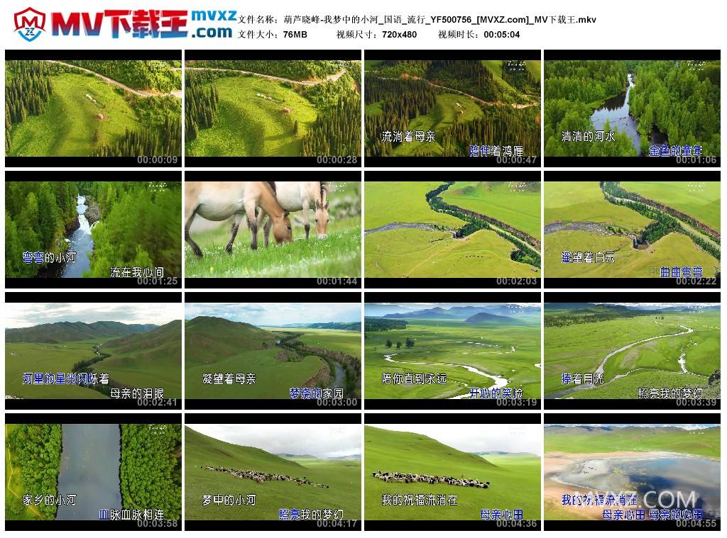 葫芦晓峰-我梦中的小河_国语_流行_YF500756